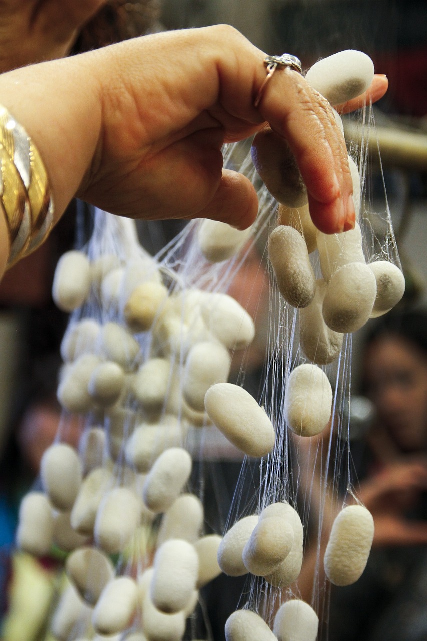 东北冻梨，传统美食的进化之路