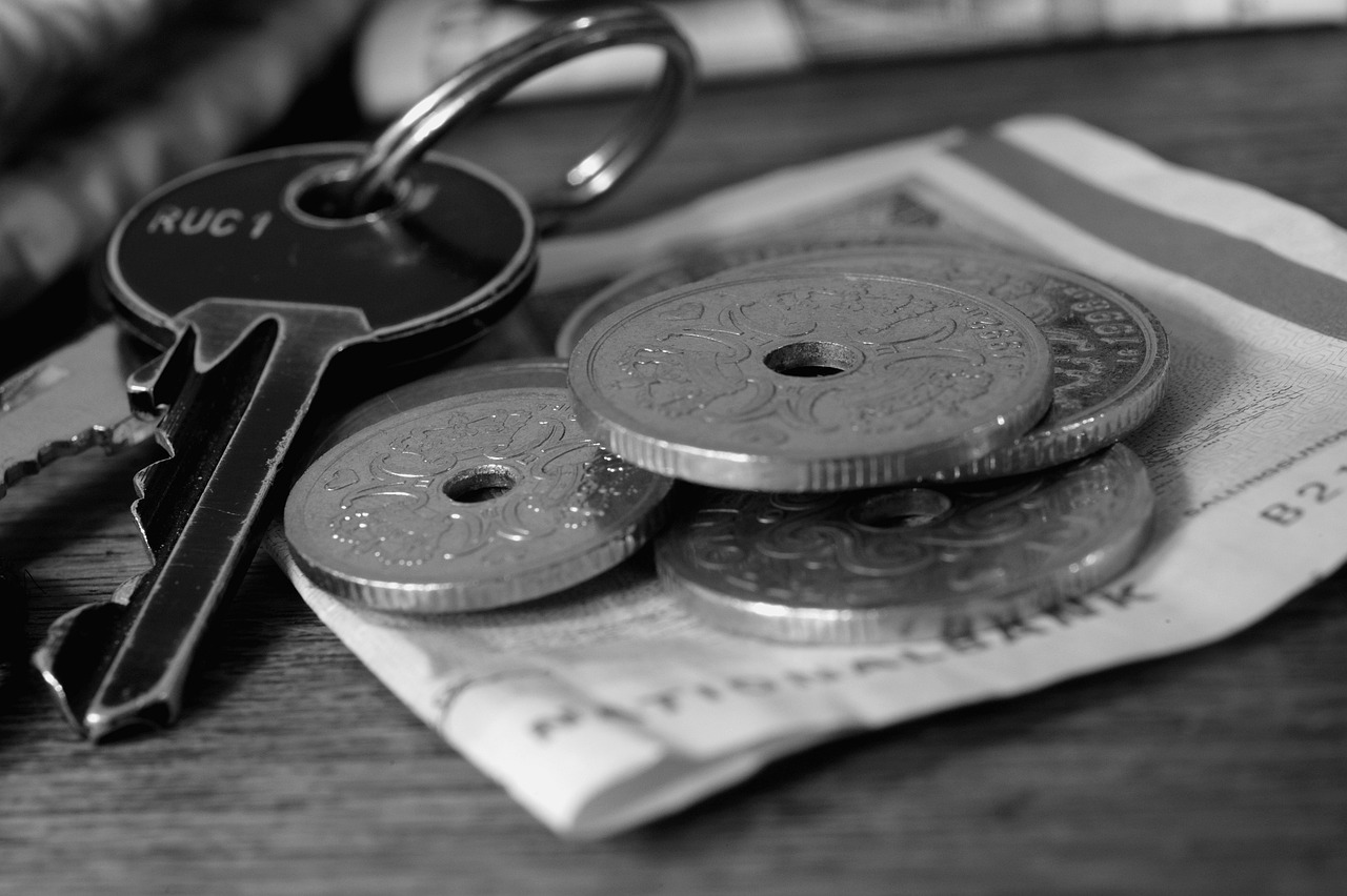 深度解析建信货币基金，稳健投资的不二之选——揭秘其优势与应用场景