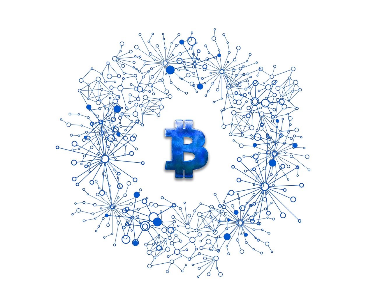 揭秘财乎APP，探索金融理财新势力的崛起与未来趋势