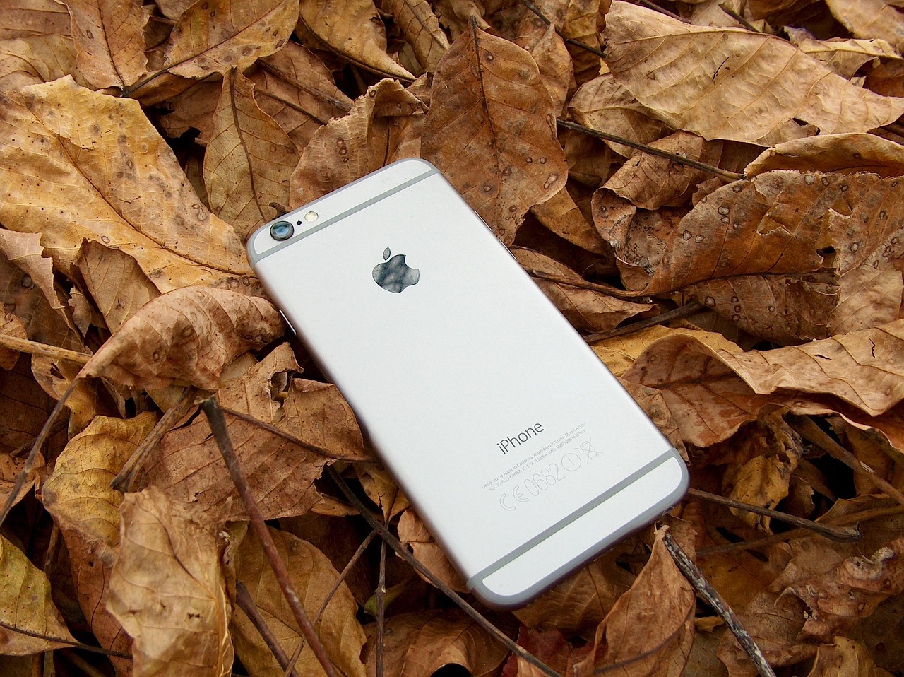 苹果紧急运iPhone，难道美国市场要大变天？