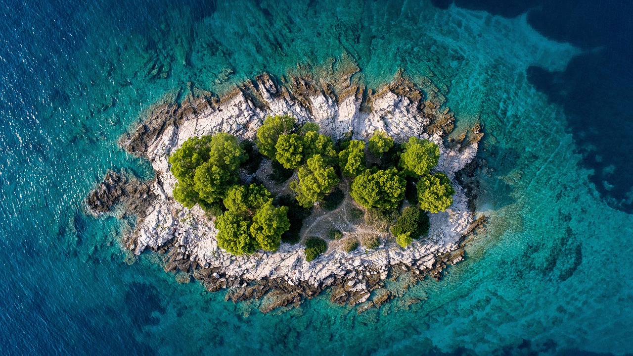 新手能驾驭外汇交易这场“海洋”吗? 新手能驾驭外汇交易这场“海洋”吗?