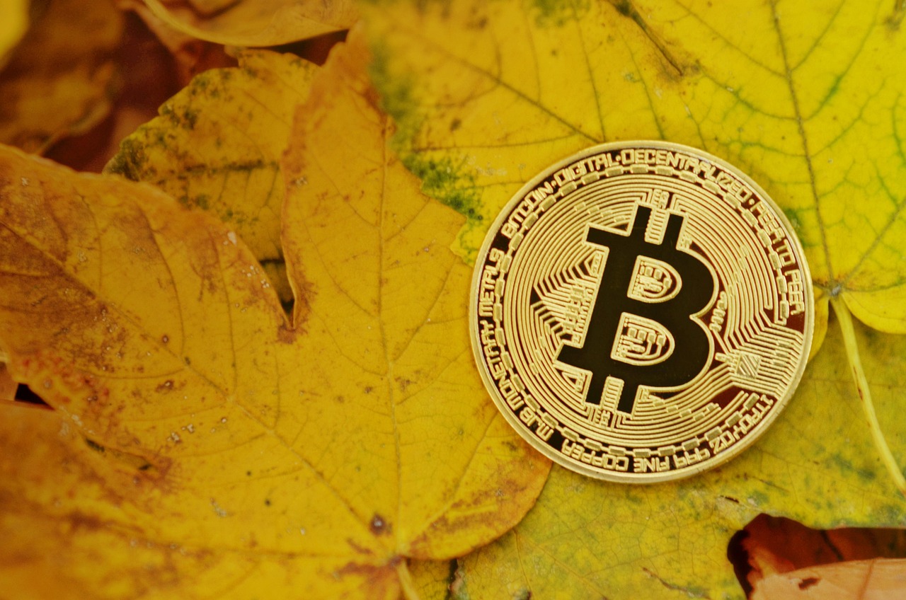 夏令时来了，黄金交易时间大变？揭秘黄金新作息！