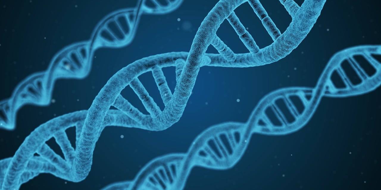 合成生物：新兴二级市场香饽饽，基于基因编辑技术，创造新型生物体