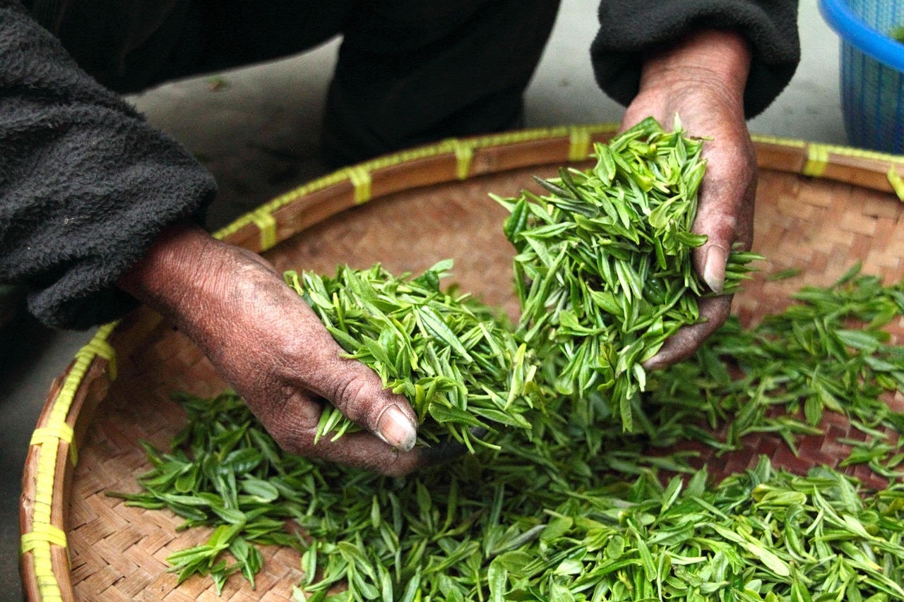 喜茶自研绿妍茶全国门店上新，以绿茶为基底，融入独特工艺